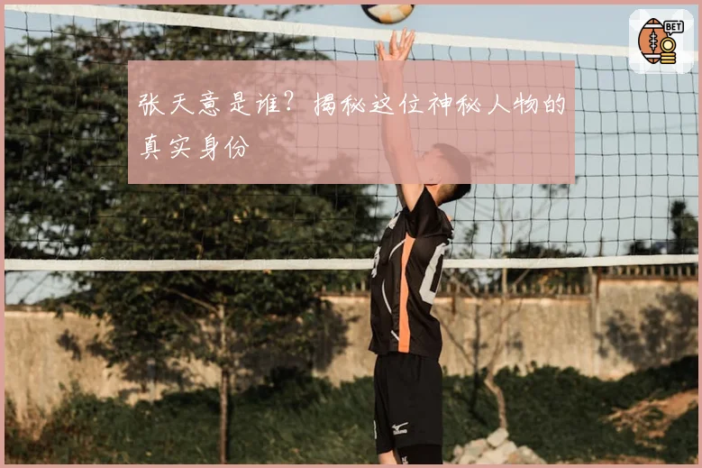 张天意是谁？揭秘这位神秘人物的真实身份